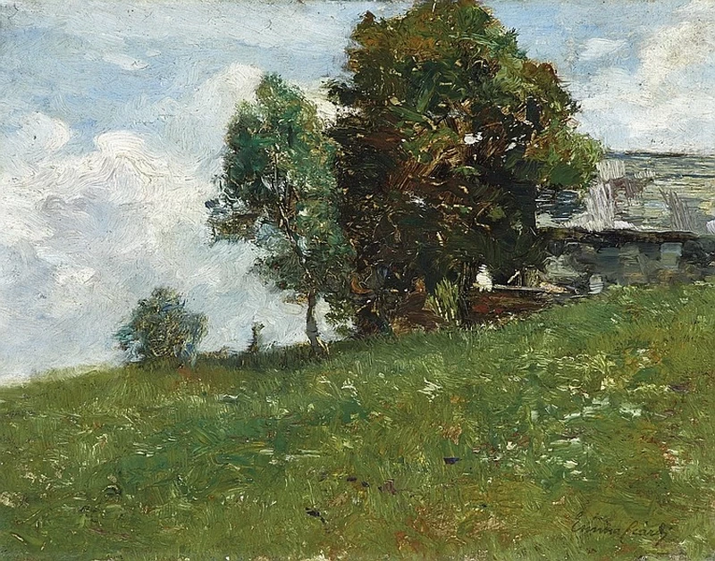 Pomeriggio